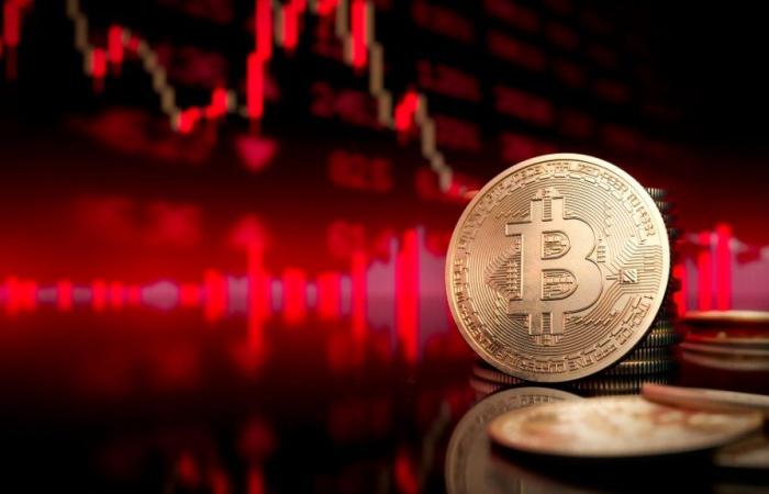 “La segunda parte del mercado alcista del bitcoin apenas comienza” – .