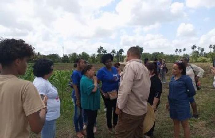 La FMC en Matanzas con mujeres propietarias de tierras en usufructo