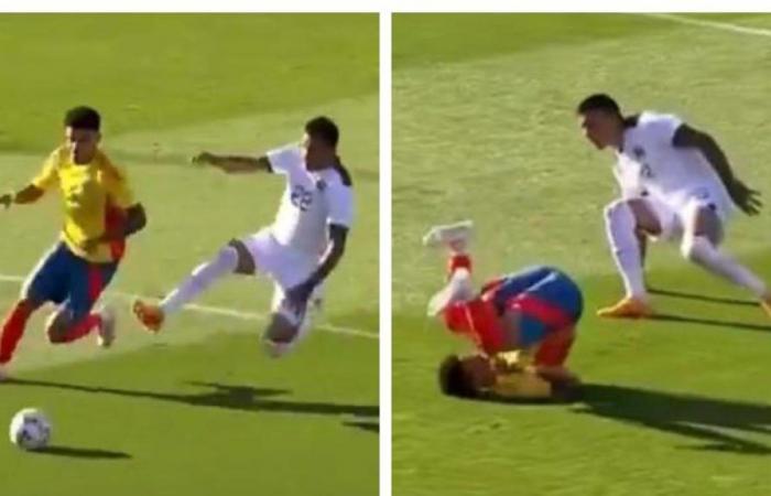 Violenta falta contra Luis Díaz hizo temblar a toda la Selección Colombia, video
