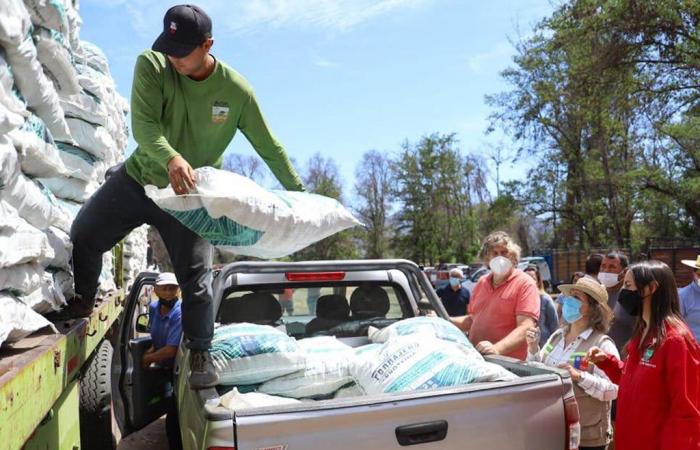 Comenzó entrega de ayuda en Chile a productores afectados por lluvias