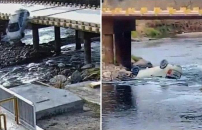 Una mujer y su perro cayeron con su auto desde un puente al río Ctalamochita