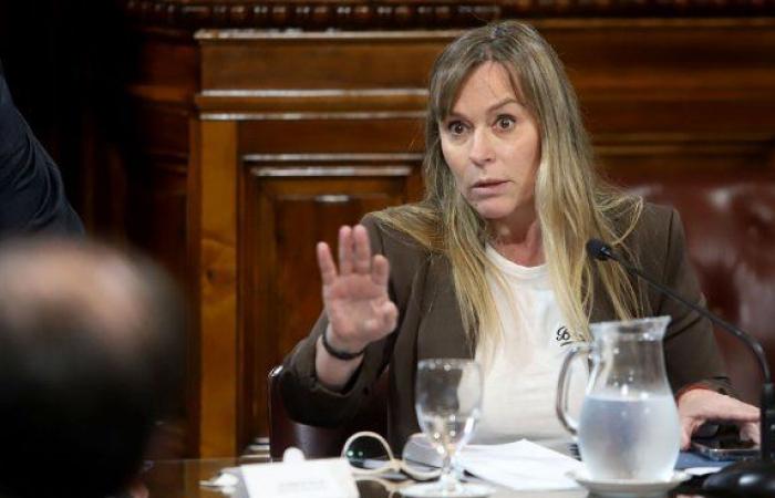 Juliana Di Tullio pidió la expulsión de Scioli, Kueider y Espínola del Partido Justicialista