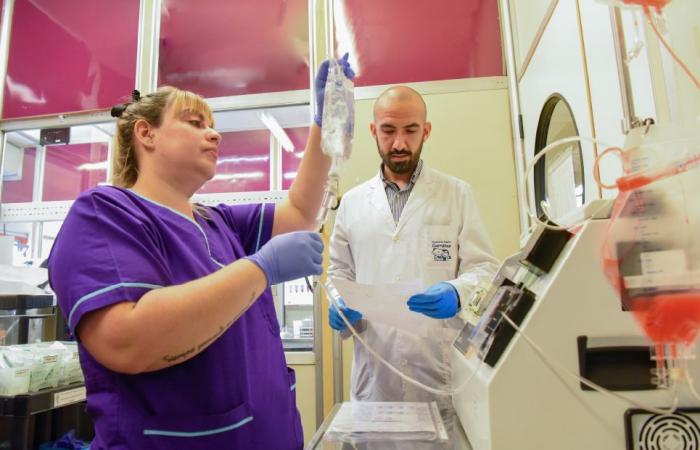 Hospital Garrahan – Garrahan implementa una terapia innovadora para tratar una de las complicaciones más frecuentes del trasplante de médula ósea – .