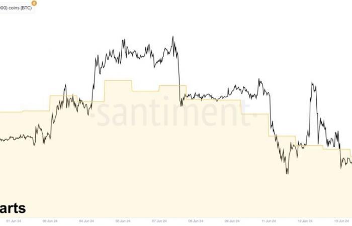 Ballenas de Ethereum aceleran sus compras por caída de precios