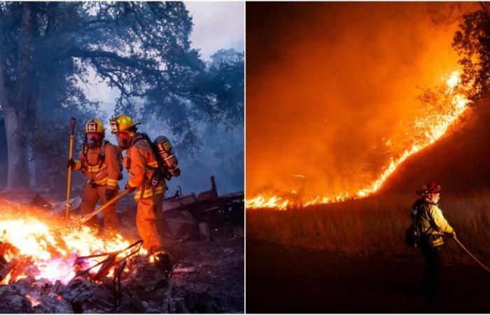Bomberos luchan para contener incendio forestal en el norte de Los Ángeles – .