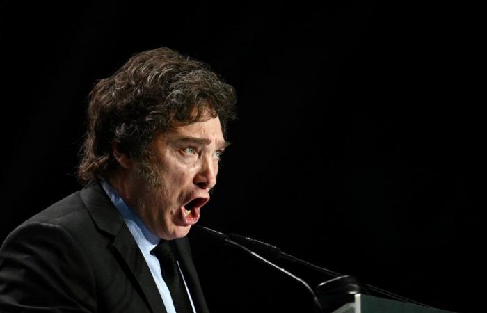 “Actúan distraídos”, atacó Javier Milei a periodistas argentinos para volver a criticar a Pedro Sánchez y al socialismo