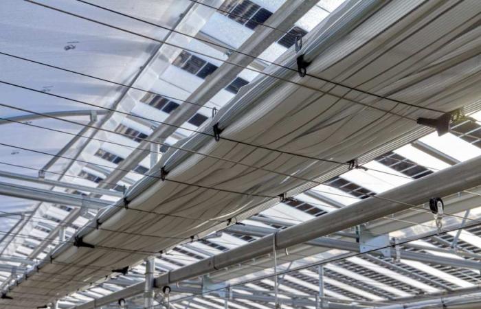 Un agricultor francés inaugura la primera instalación de cultivo de fresas cubierta con paneles fotovoltaicos semitransparentes y pantallas de sombreado dinámico.