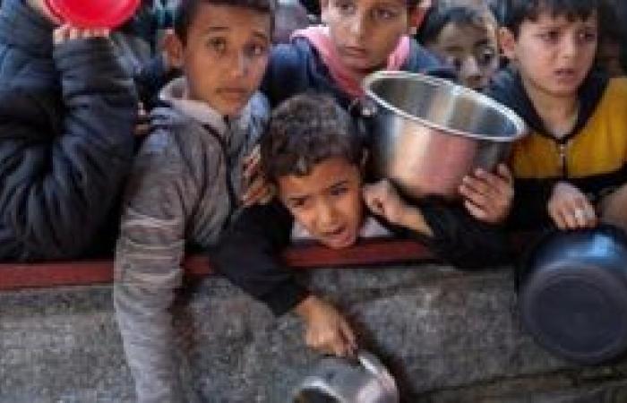 Se observa crisis nutricional para niños en Gaza – Escambray – .