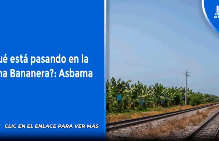 ¿Qué está pasando en la Zona Bananera?: Asbama – .