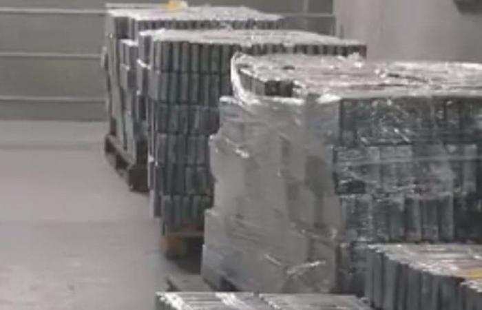 Alemania anunció incautación récord de 35 toneladas de cocaína – .