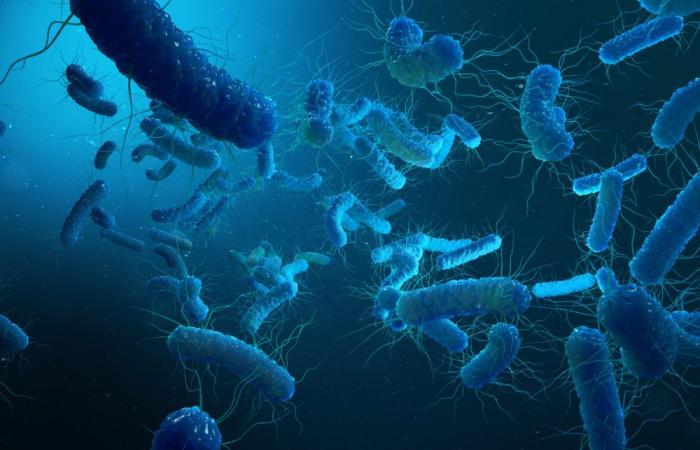 La OMS dice que hay una falta “apremiante” de agentes antibacterianos nuevos e innovadores