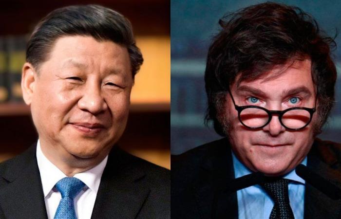 ¿Se están fortaleciendo las relaciones bilaterales entre China y Argentina? Javier Milei podría visitar Beijing en el mes de julio
