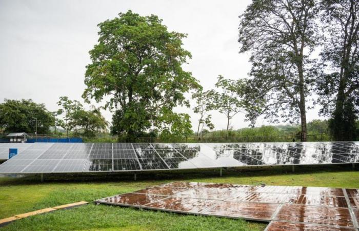 Celsia inaugura nueva granja solar en Panamá para elaborar cervezas con energía limpia