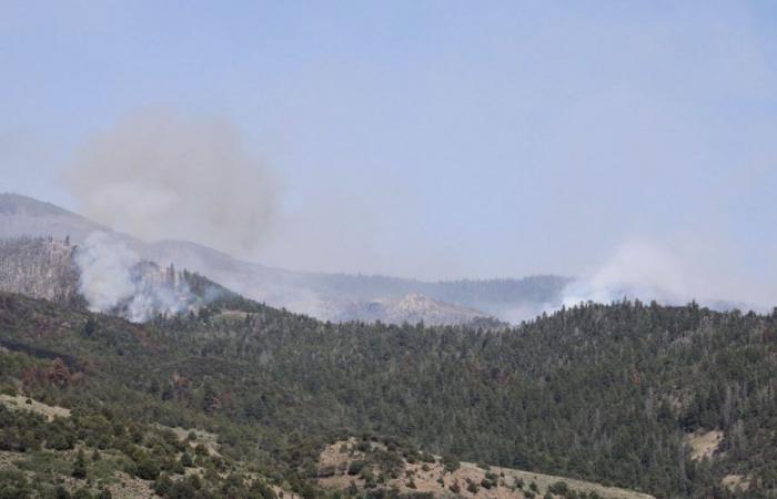El incendio de Little Twist quema más de 2500 acres – NBC Utah –.
