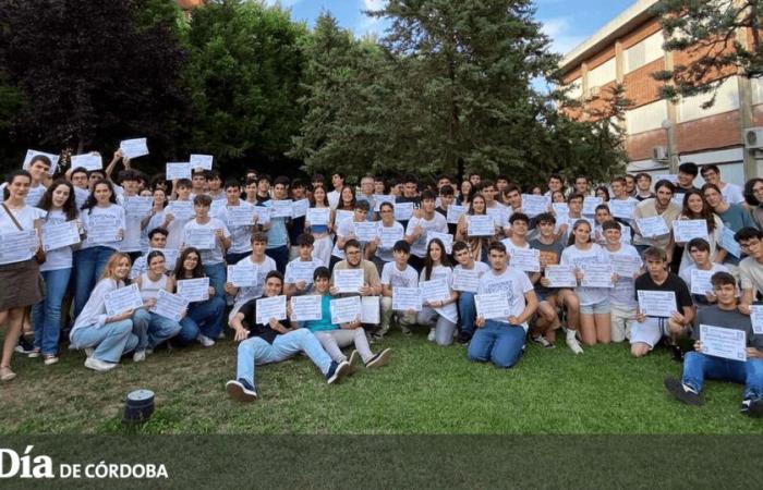 La XXVII Gymkana Matemática de Córdoba reconoce a sus ganadores – .