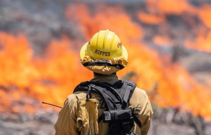 Continúan los incendios forestales en California – .