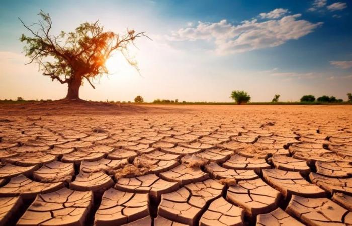 ¿Cuáles son los desafíos que enfrentan Argentina y América Latina ante el aumento de las sequías? – .