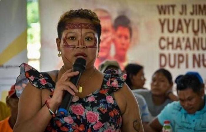 Una líder indígena de la etnia Nukak del Guaviare perdió la vida en un intento de suicidio