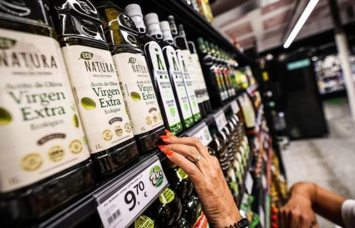 EXPORTACIONES DE CÓRDOBA | Exportaciones crecen 17% hasta abril en Córdoba por impulso del aceite de oliva