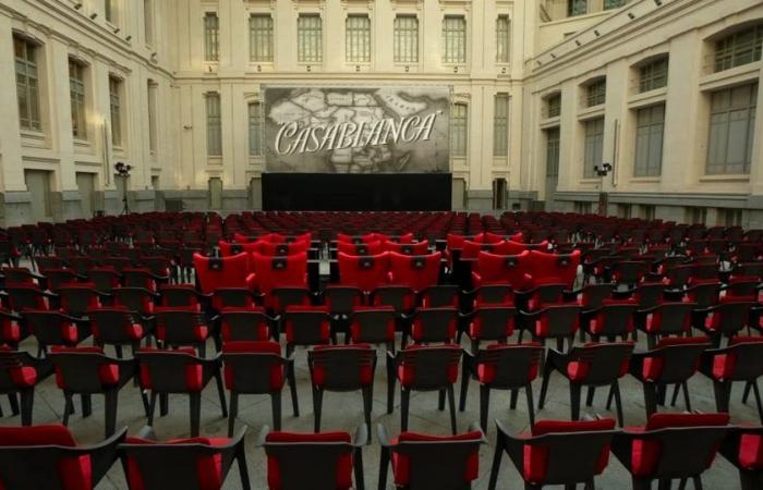 ‘Cibeles de Cine’, el refugio de verano de Madrid, ante el reto de afrontar una taquilla en horas bajas