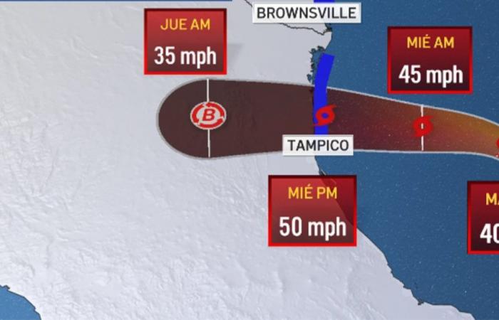 Hay alerta de tormenta tropical para la costa noreste del Golfo de México – Telemundo McAllen (40) – .