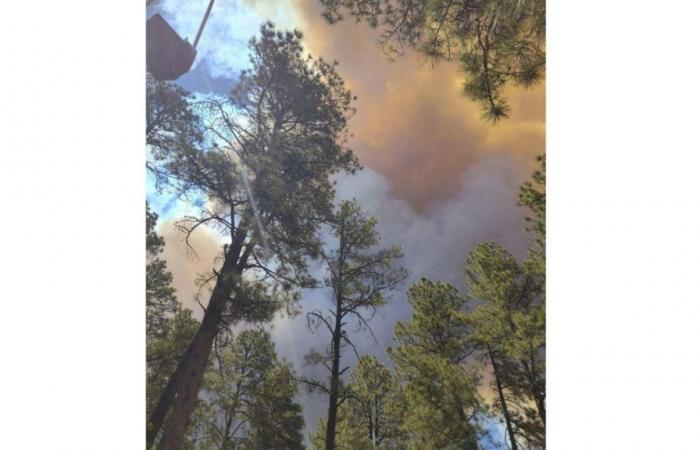 Los residentes huyen de Ruidoso, Nuevo México, debido a los devastadores incendios forestales