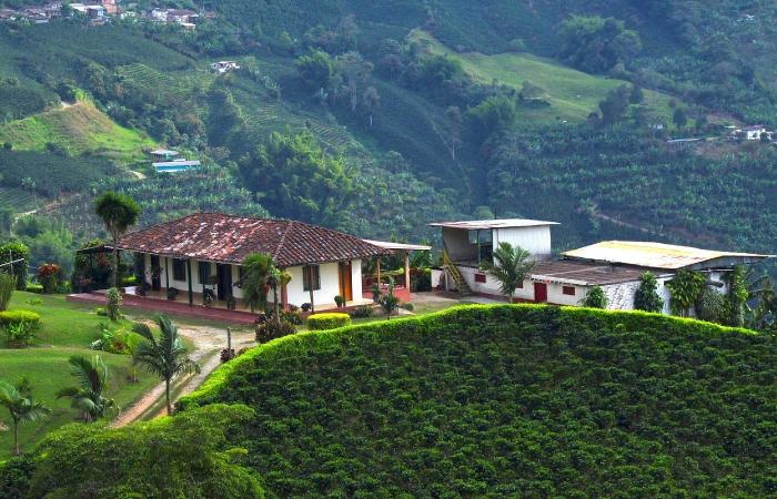 Riqueza natural del Cauca que deja a Colombia en alto nombre