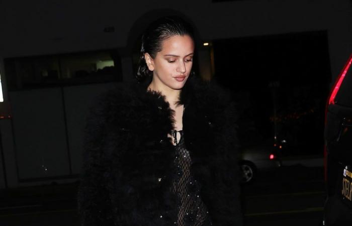Mob Wife: De Rosalía a Kim Kardashian o Penélope Cruz: el abrigo de piel aunque haga calor | Moda