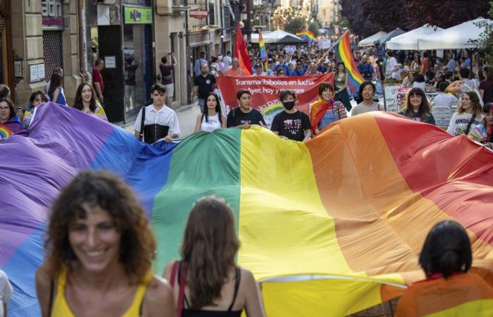 La marcha del Orgullo LGTBI+ en La Rioja pide respeto