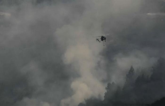 Point Fire arde en el condado de Sonoma – NBC Área de la Bahía –.