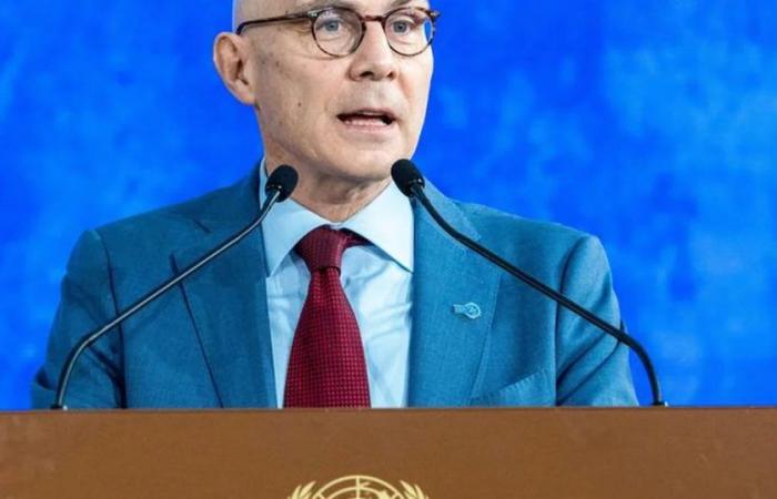 El Alto Comisionado de la ONU criticó la política de Derechos Humanos del gobierno de Javier Milei