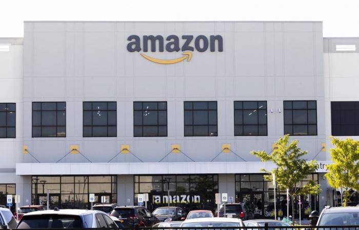 Empleados de Amazon se unen al mayor sindicato del sector privado – .