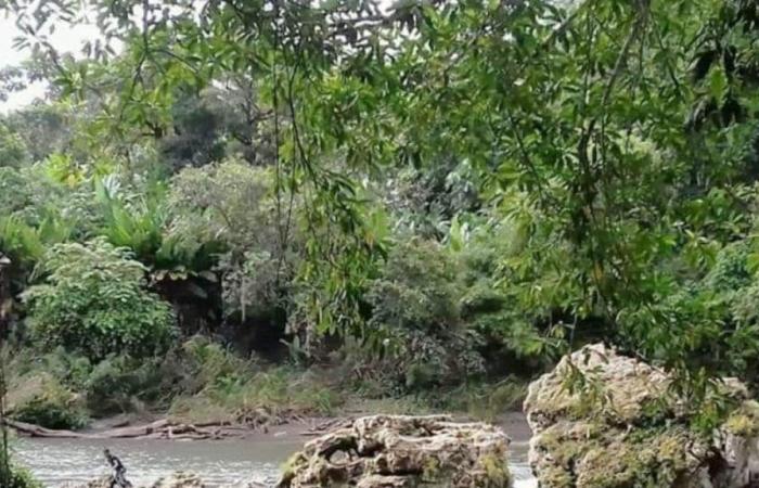 Dos murieron tras naufragar en aguas del río Bojayá en plena misión humanitaria