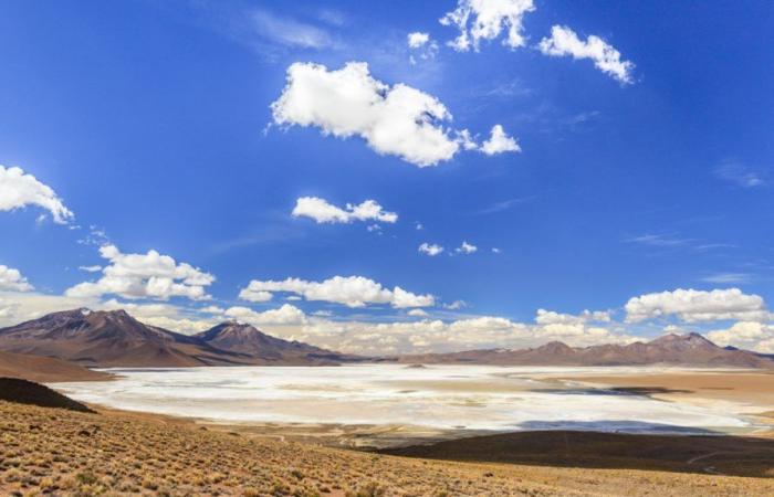 Chile recibió 88 ofertas de 54 empresas por proyectos de litio