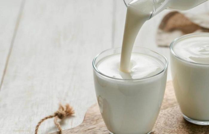 ‘Alpina y Alquería reducen compras de leche y agravan crisis para productores de leche en el país’: Analac – .