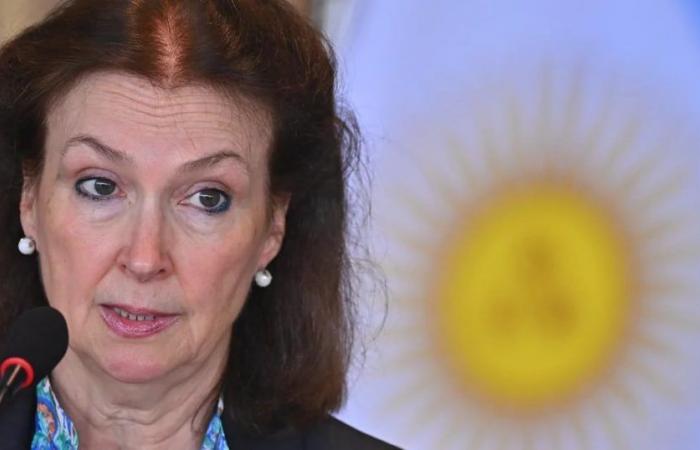 Mondino exigirá ante el Comité de Descolonización de la ONU la soberanía de Argentina en las Islas Malvinas