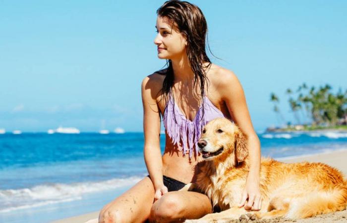 ¿Puedo ir con mi perro a la playa? Esto es lo que dice la nueva ley de bienestar animal