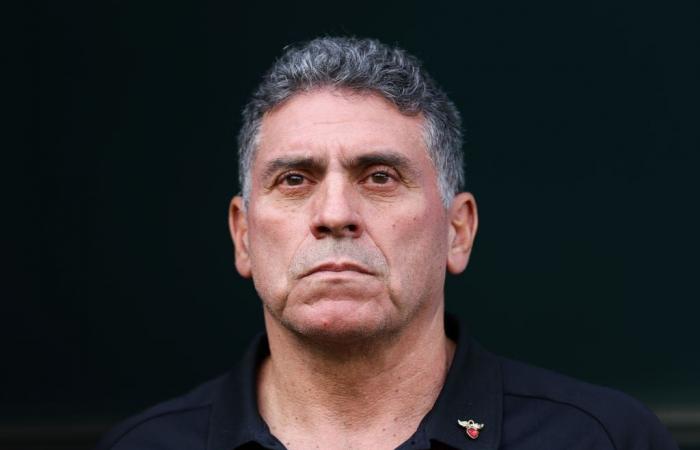 Luis Fernando Suárez, nuevo entrenador de las ‘Matecañas’