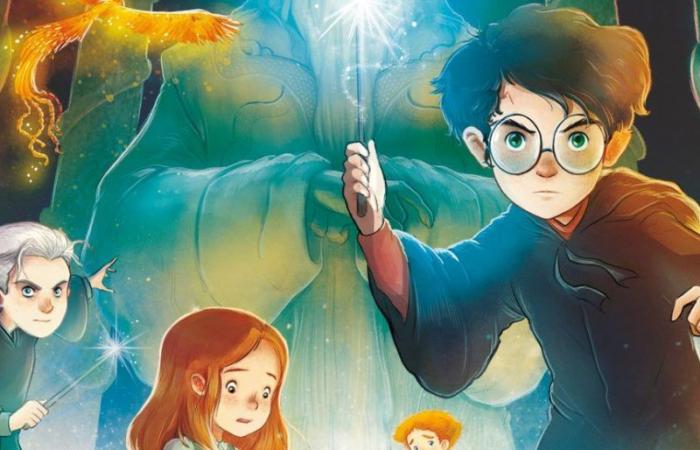 La editorial Salamandra reedita inesperadamente los libros de Harry Potter y por primera vez incluyen ilustraciones de un artista español