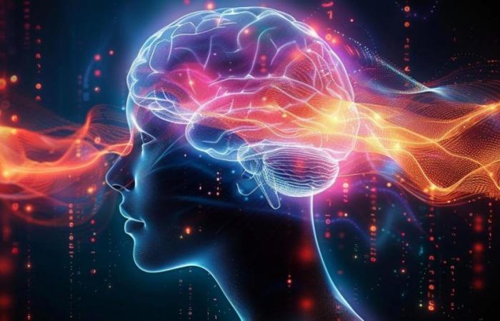 El cerebro puede almacenar 10 veces más datos de lo que se pensaba