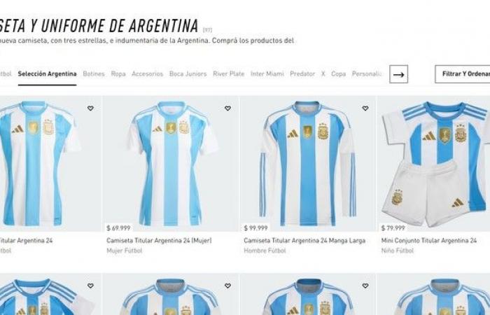 Cómo es la nueva camiseta de la Selección Argentina y cuánto cuesta en la Copa América: los detalles