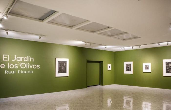 una exposición de Raúl Pineda que transforma la adversidad en arte y esperanza en el Museo de Arte del Tolima