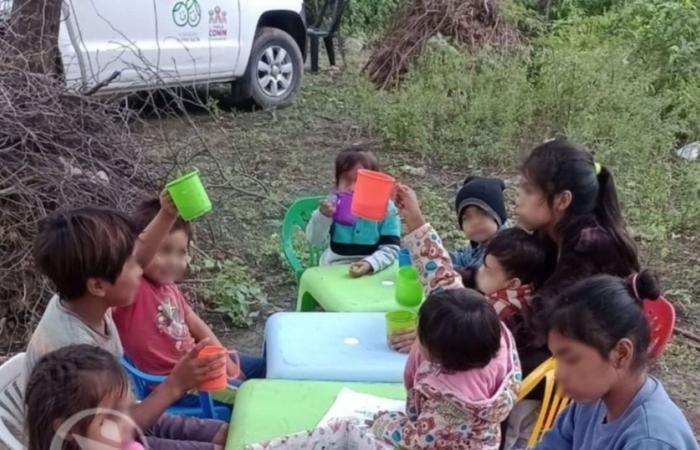Nutrir Salta confirmó la recepción de leche en polvo para 550 niños con riesgo nutricional