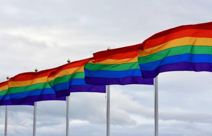 Colombia será el “primer país invitado” del Pride L
