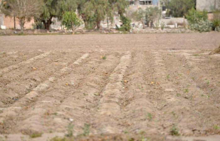 Tormenta “Alberto” llegará a San Luis con el 98% de su territorio en sequía – El Sol de San Luis – .