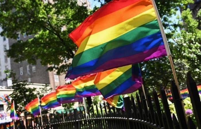 Colombia será el ‘primer país invitado’ del Orgullo LGBTIQ+ de Madrid en 2024