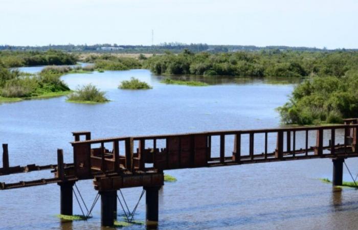 Corrientes proyecta reserva interprovincial con Entre Ríos – .