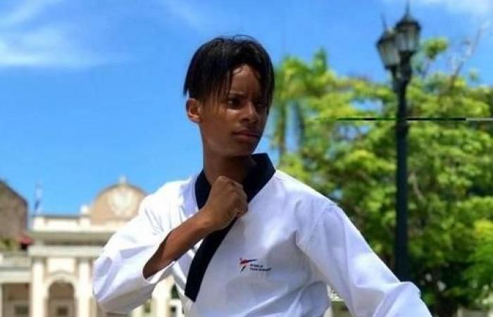 Darío Navarro, bronce en Abierto de taekwondo › Deportes › Granma – .