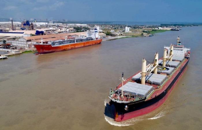 Autoridades portuarias piden evaluar impacto del proyecto eólico en el río Magdalena – .