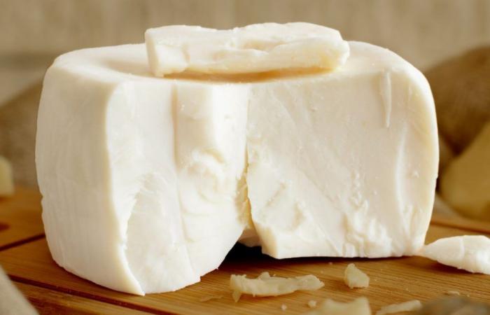 ¿Eres amante del queso? Los investigadores encuentran un nuevo efecto sobre la salud – .